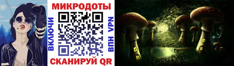darknet телеграм Алзамай Галлюциногенные грибы GOLDEN TEACHER